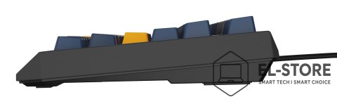 GENESIS GENESIS Thor 230 TKL klawiatura Gaming USB QWERTY Angielski Niebieski