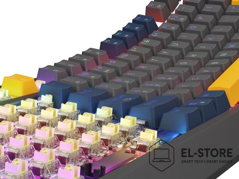 GENESIS GENESIS Thor 230 TKL klawiatura Gaming USB QWERTY Angielski Niebieski