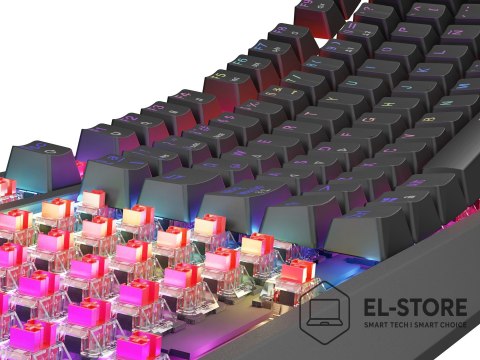 GENESIS GENESIS Thor 230 TKL klawiatura Gaming USB QWERTY Hiszpański Czarny