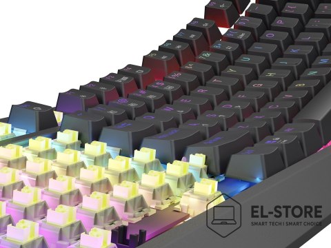 GENESIS GENESIS Thor 230 TKL klawiatura Gaming USB + RF Wireless + Bluetooth QWERTY US English Czarny