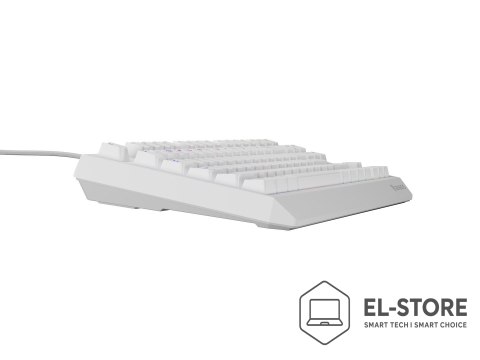 GENESIS GENESIS Thor 230 TKL klawiatura USB + RF QWERTY