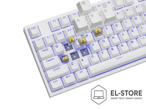 GENESIS GENESIS Thor 404 TKL klawiatura Gaming USB QWERTY Amerykański międzynarodowy Biały
