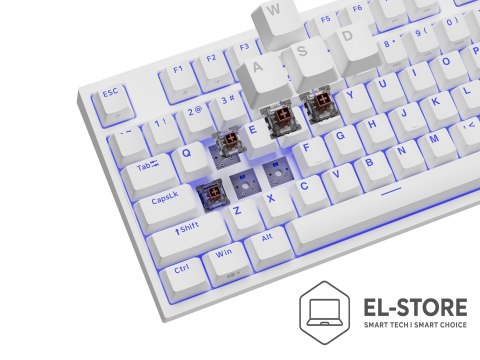 GENESIS GENESIS Thor 404 TKL klawiatura Gaming USB QWERTY Amerykański międzynarodowy Biały