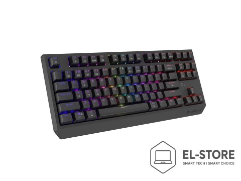 GENESIS Klawiatura Genesis Thor 230 TKL NKG-2106 Wless (RapidSpeed Wireless, BT, USB) Standardowy (US) Czarna