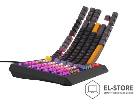 GENESIS Klawiatura gamingowa GENESIS Thor 230 TKL NKG-2081 QWERTY