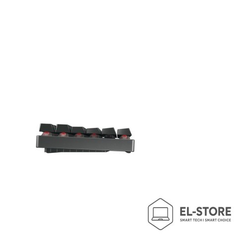 Cherry CHERRY MX 8.2 TKL Wireless RGB klawiatura Gaming RF Wireless + Bluetooth QWERTZ Niemiecki Czarny