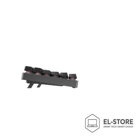 Cherry CHERRY MX 8.2 TKL Wireless RGB klawiatura Gaming RF Wireless + Bluetooth QWERTZ Niemiecki Czarny