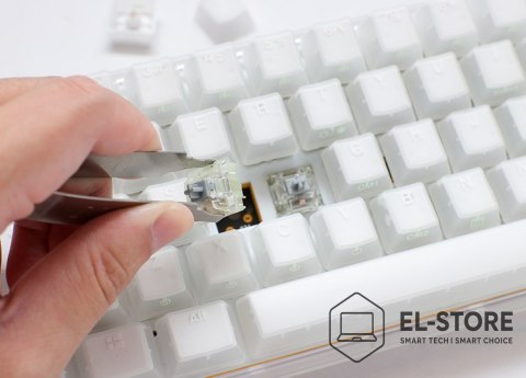 Ducky Ducky One 3 TKL klawiatura Gaming USB QWERTZ Niemiecki Biały