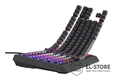 GENESIS GENESIS Thor 230 TKL klawiatura Gaming USB QWERTY US English Czarny