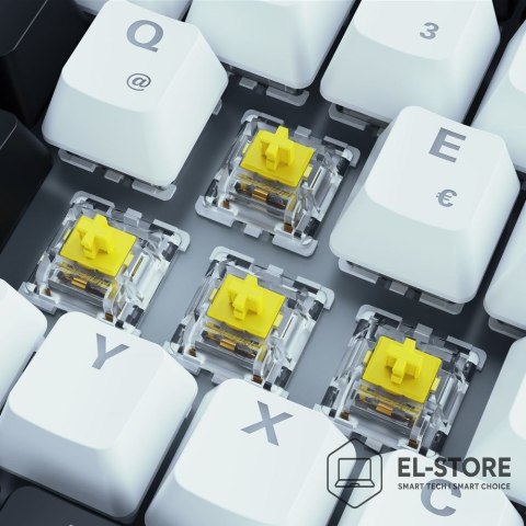 Sharkoon Klawiatura gamingowa Sharkoon SKILLER SGK50 S3 USB QWERTZ Niemiecki Biała