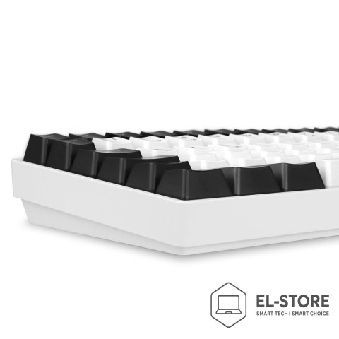 Sharkoon Klawiatura gamingowa Sharkoon SKILLER SGK50 S3 USB QWERTZ Niemiecki Biała