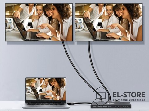 EQUIP Equip 332716 HDMI 2x HDMI