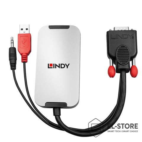 LINDY Lindy VGA zu DisplayPort 1.2 Converter - DisplayPort