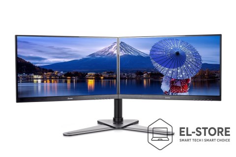 IIYAMA Uchwyt Iiyama DS1002D-B1 - stand z ramieniem regulowanym