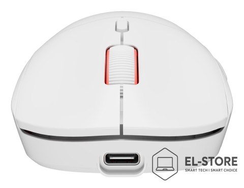 GENESIS GENESIS Zircon XIII myszka Gaming Oburęczny RF Wireless + USB Type-C Optyczny 26000 DPI
