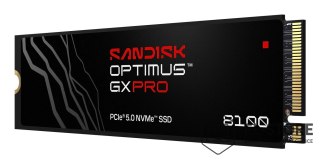 SanDisk SSD Sandisk Optimus GX Pro 8100 1TB SDSP82100TAN