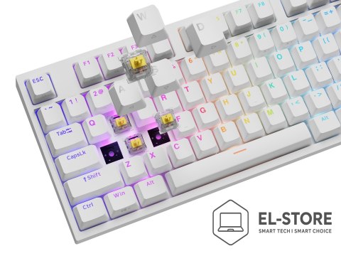GENESIS Klawiatura GENESIS THOR 404 uniwersalne USB QWERTY Angielski Biały