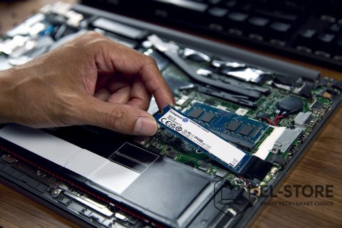 Kingston Kingston DYSK SSD 4000G NV3 M.2 2280 PCIe 4.0 NVMe