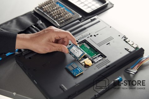 Kingston KINGSTON DYSK SSD SKC600MS/256G KC600 SATA3