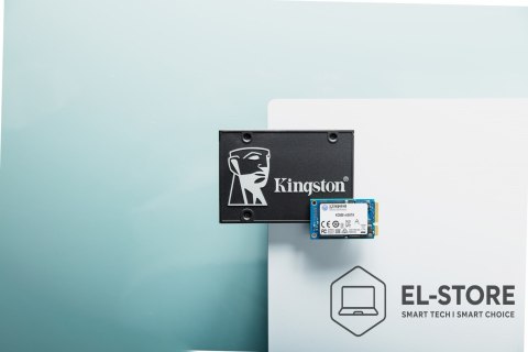 Kingston KINGSTON DYSK SSD SKC600MS/256G KC600 SATA3