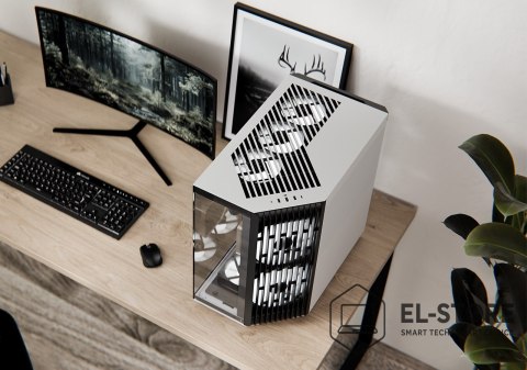 Arctic Cooling Obudowa APNX V1, Midi-Tower, ATX, Tempered Glass, czarno-biała
