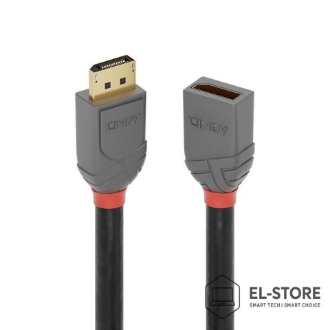 LINDY Lindy 36498 kabel DisplayPort 3 m Czarny
