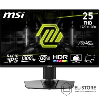 MSI Monitor MAG 255PXF
