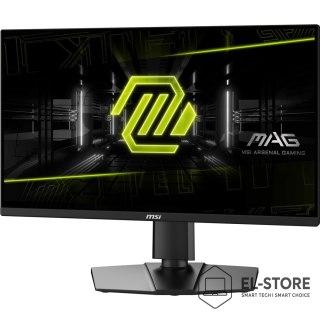 MSI Monitor MAG 255PXF