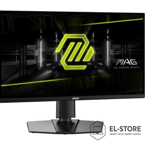 MSI Monitor MAG 255PXF
