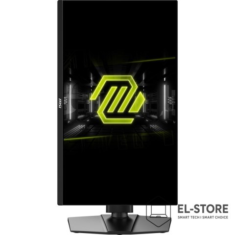 MSI Monitor MAG 255PXF