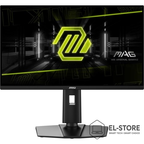 MSI Monitor MAG 255PXF