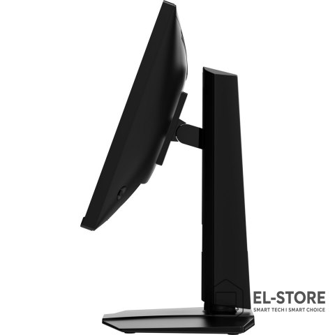 MSI Monitor MAG 255PXF
