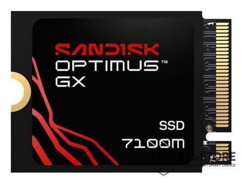 SanDisk SSD Sandisk Optimus GX 7100M 1TB SDSP71100TAT