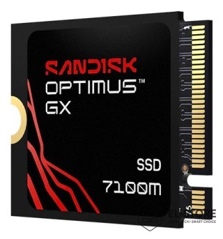 SanDisk SSD Sandisk Optimus GX 7100M 1TB SDSP71100TAT
