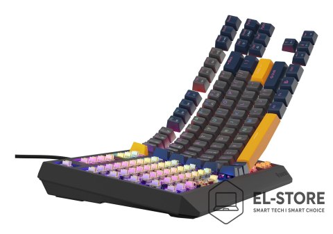 GENESIS GENESIS Thor 230 TKL klawiatura Gaming USB QWERTY Angielski Niebieski