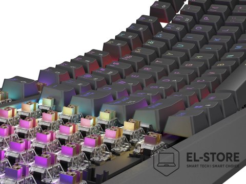 GENESIS GENESIS Thor 230 TKL klawiatura Gaming USB QWERTY US English Czarny