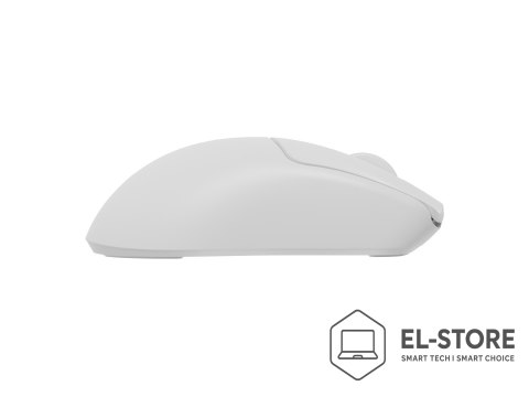 GENESIS GENESIS Zircon 500 myszka Gaming Po prawej stronie RF Wireless + Bluetooth + USB Type-C Optyczny 10000 DPI