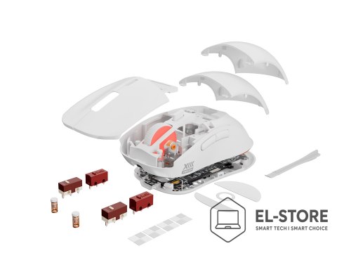 GENESIS GENESIS Zircon XIII myszka Gaming Oburęczny RF Wireless + USB Type-C Optyczny 26000 DPI