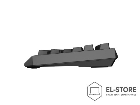 GENESIS Klawiatura Genesis Thor 230 TKL NKG-2106 Wless (RapidSpeed Wireless, BT, USB) Standardowy (US) Czarna