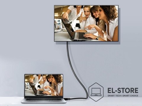 EQUIP Equip 119265 kabel DisplayPort 5 m Aluminium, Czarny
