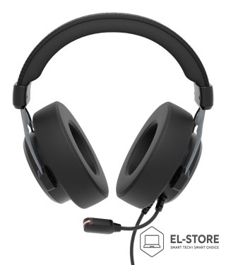 GENESIS GENESIS NSG-2169 słuchawki/zestaw słuchawkowy Przewodowa Opaska na głowę Gaming USB Typu-A Czarny