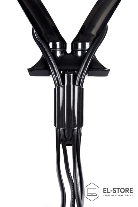 IIYAMA Uchwyt biurkowy Iiyama DS3002C-B1 - desk mount (adjustable arm)