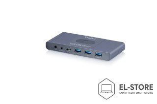 DIGITUS Digitus DS-12855 przełącznik KVM Szary