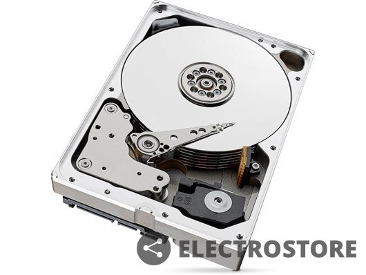 Seagate Dysk SkyHawkAI 10TB 3,5 256MB ST10000VE001 Seagate Dysk SkyHawkAI 10TB 3,5 256MB ST10000VE001