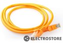 Gembird Patch cord kategoria 5e osłonka zalewana 0.5m pomarańczowy