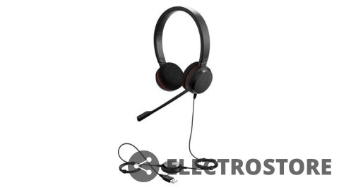 Jabra Evolve 20 Duo Jabra Evolve 20 Duo