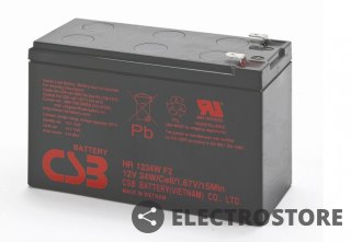 CSB HR1234WF2 12V 34WATT