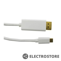 Qoltec Kabel DisplayPort Alternate mode | USB 3.1 typC męski / DisplayPort męski | 4Kx2K | 1m
