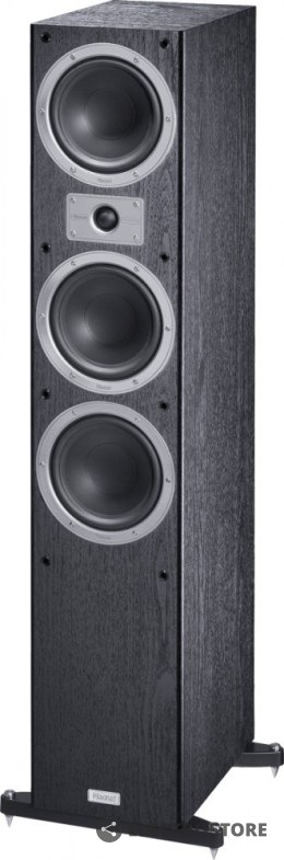 Magnat Tempus 77 - black